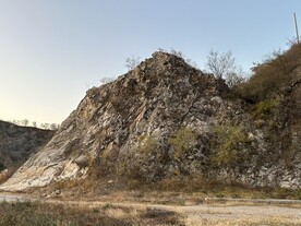 山