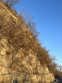 山