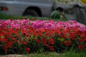 花墙