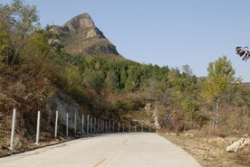 鸟语林