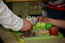 栽培多肉植物