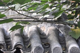 瓦片瓦当