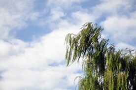 天空