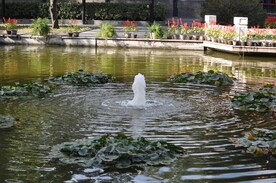 喷泉