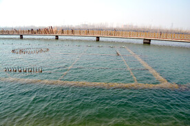 淇县淇河淇水