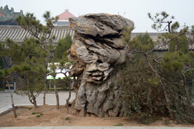 假山石