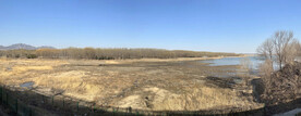 青龙湖水库湿地
