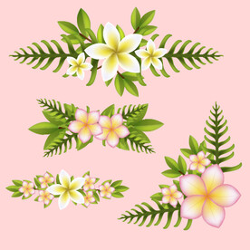 树叶素材