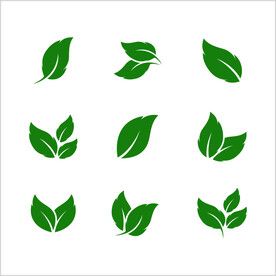 树叶素材