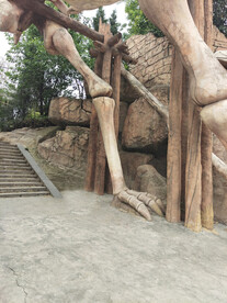 動(dòng)物園一角