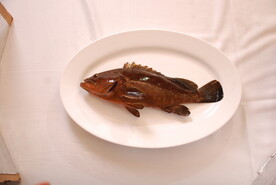 海红斑