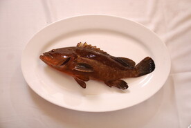 海红斑