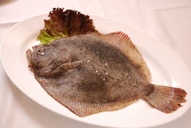 多宝鱼