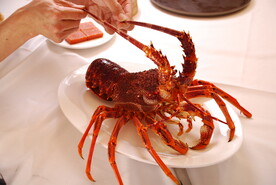 澳洲龙虾