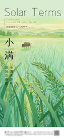 小满 节气海报