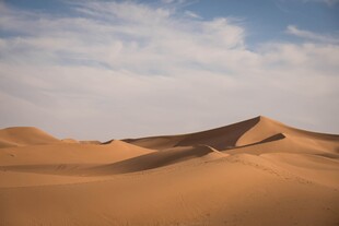 沙漠