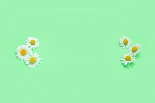 鲜花边框