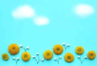 鲜花边框