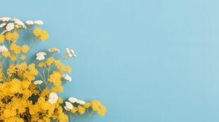 鲜花边框