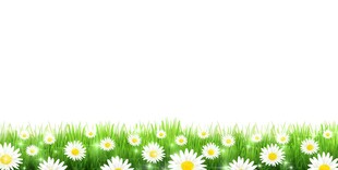 鲜花边框