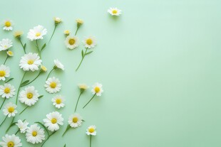 鲜花边框