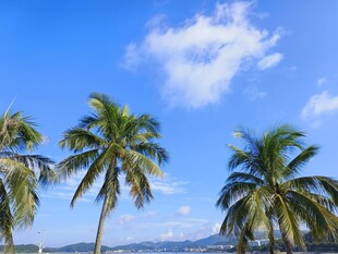 海边