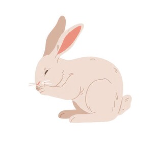 可爱小兔子插画扁平设计纯色背景