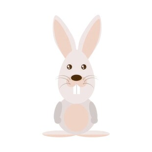 可爱小兔子插画扁平设计纯色背景