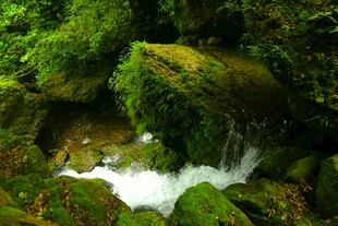 青城山