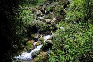 青城山