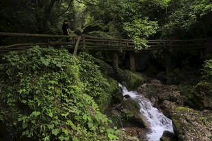 青城山