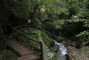 青城山