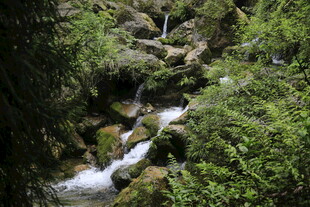 青城山