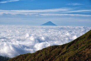 富士山