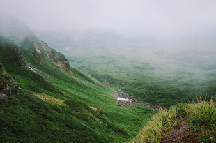 山