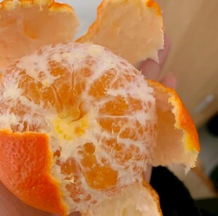柑橘