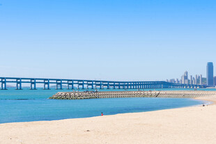 海濱城市風(fēng)光與跨海大橋