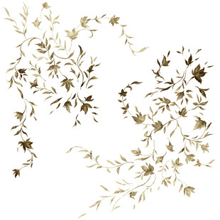 花邊素材