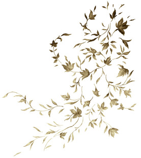 花邊素材