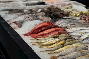 多樣鮮魚陳列展示