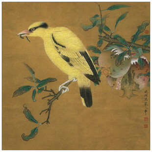 枝頭黃鶯圖