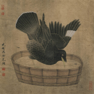 籠中黑鳥展翅圖