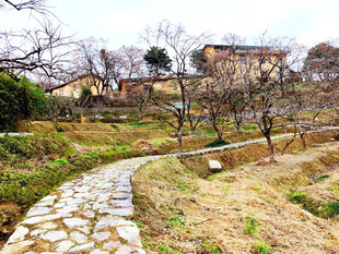 乡村