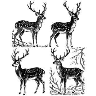 四只鹿的黑白手绘图案
