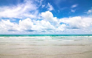 美丽海滨风光