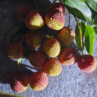 荔枝