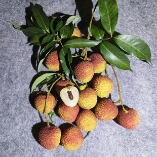 荔枝