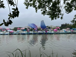 湖邊水面