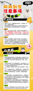 注意事項海報  寵物
