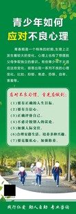 心理展板